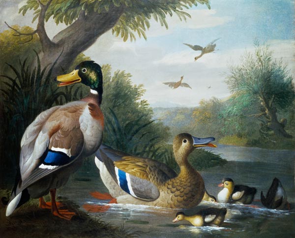 Ducks in a River Landscape a Jakob Bogdani or Bogdany