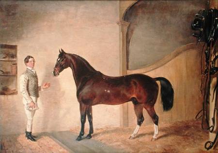 Groom with Hunter on Tredegar Estate, Monmouthshire a James Flewitt Mullock