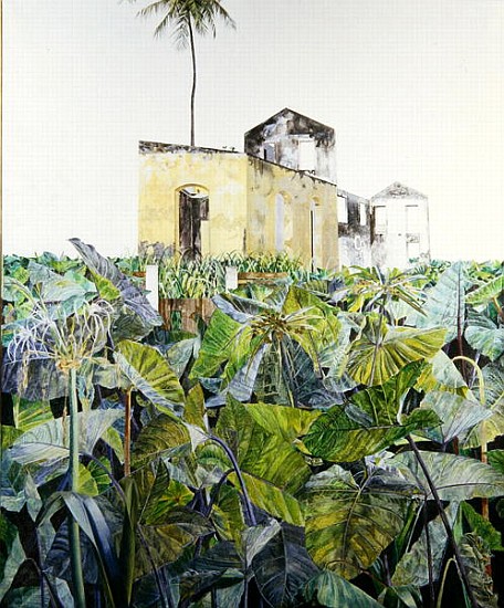 Ruin in a Swamp, Haiti, 1971 (oil on canvas)  a  James  Reeve