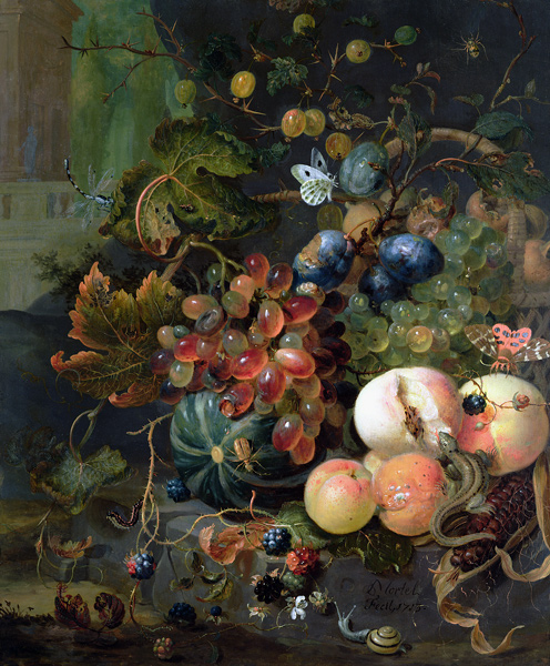 Still Life of Fruit and Insects a Jan Mortel