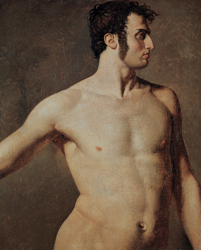 Male Torso a Jean Auguste Dominique Ingres