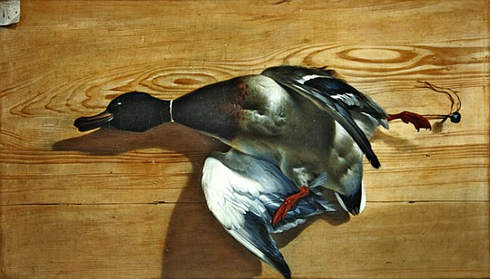 A duck on a pine board a Jean Jacques Bachelier