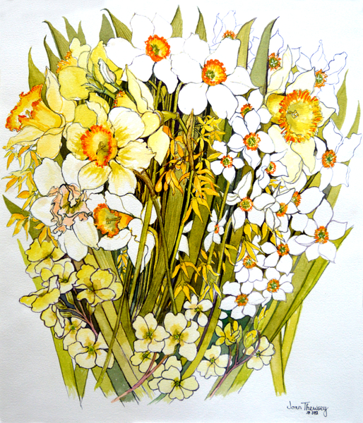 Daffodils, Narcissus, Forsythia and Primroses a Joan  Thewsey