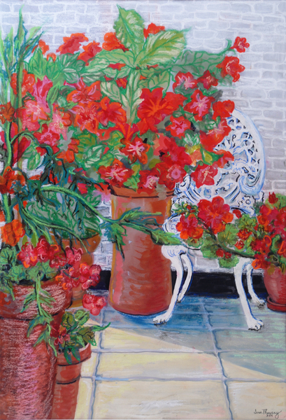 Geraniums and Petunias on the Terrace a Joan  Thewsey
