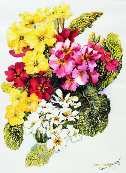 Primroses,White,Yellow,Pink and Red a Joan  Thewsey