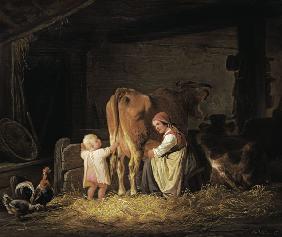 Agricoltore con figlio mentre mungono