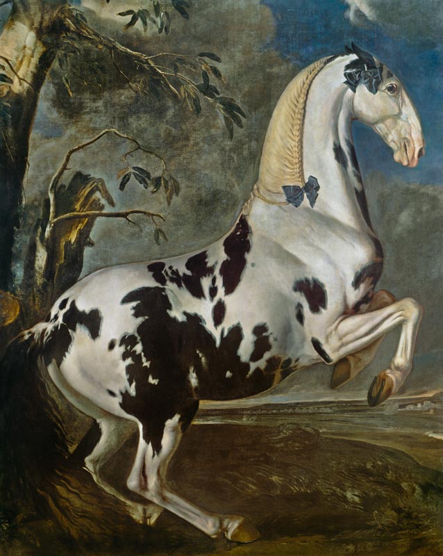 The Piebald Stallion at the Eisgruber Stud a Johann Georg Hamilton