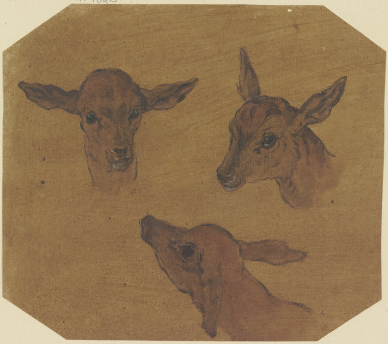Three doe heads a Johann Melchior Roos