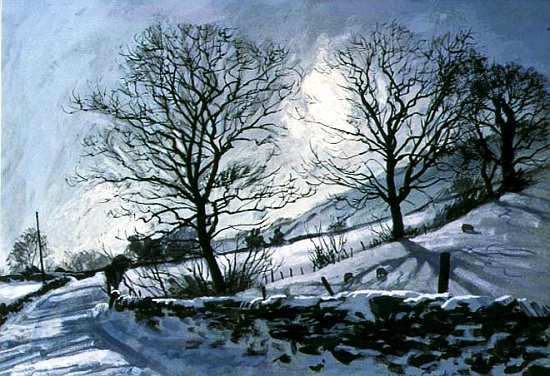 Winter Afternoon in Dentdale, 1991 a John  Cooke