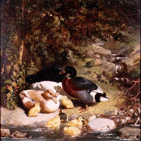 Ducks and Ducklings a John Frederick Herring Il Vecchio