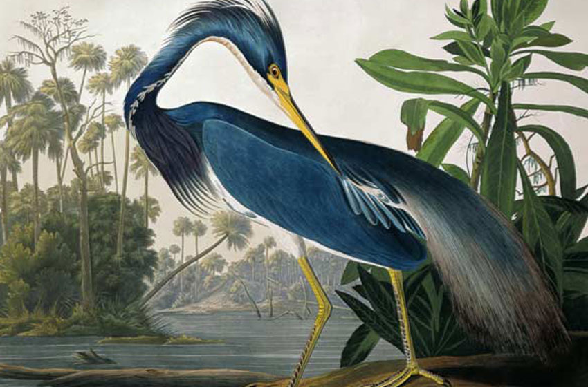 John James Audubon