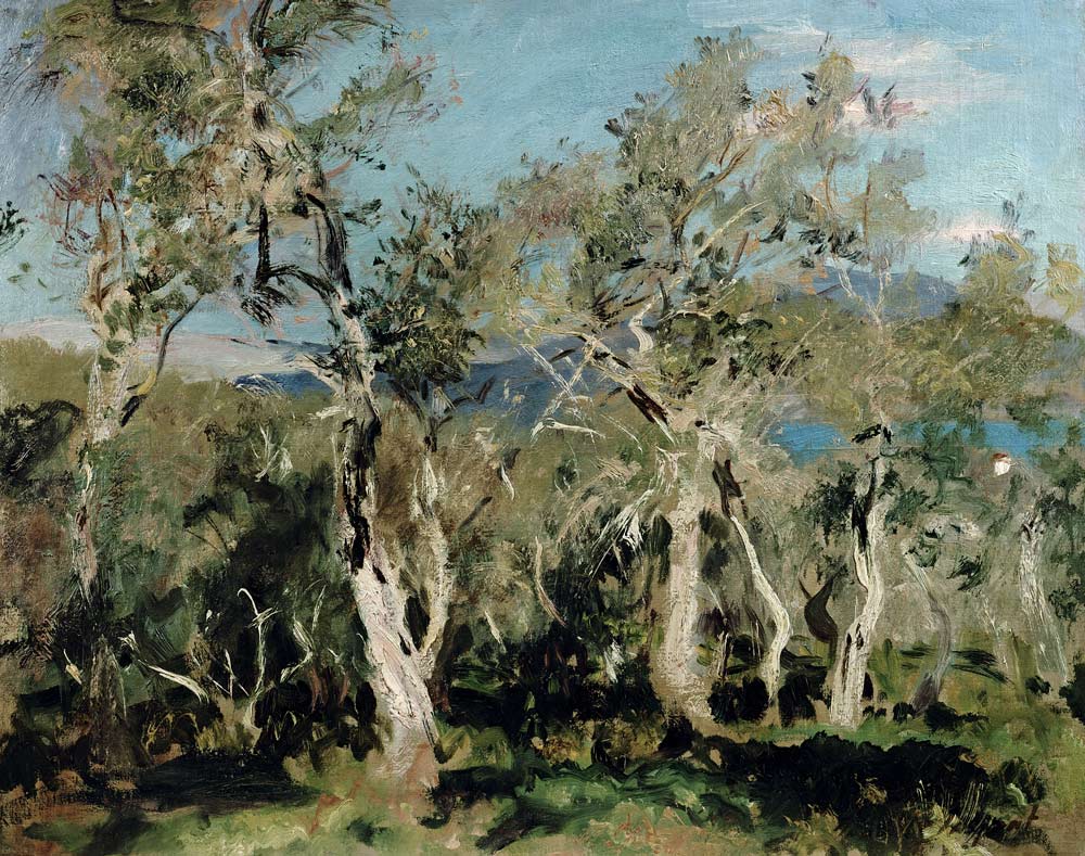 Olives, Corfu a John Singer Sargent