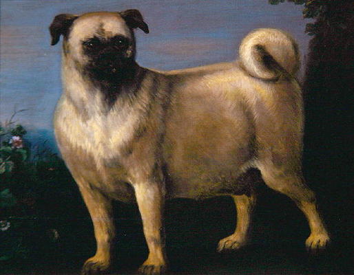 A Pug in a Landscape (oil on canvas) a John Wootton