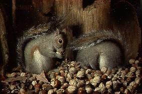 Squirrel with her winter stock. a Joseph Decker