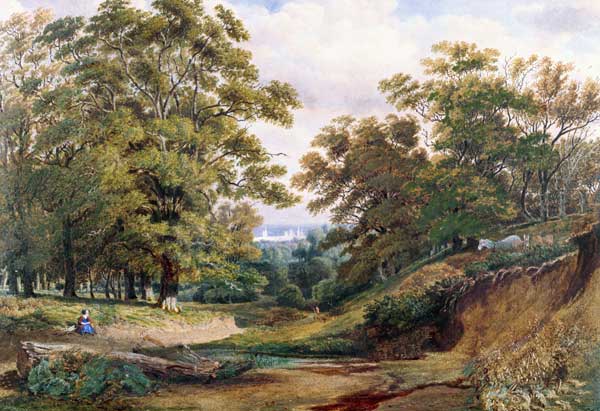 A Scene in Bagley Wood near Oxford (w/c and bodycolour) a William Turner