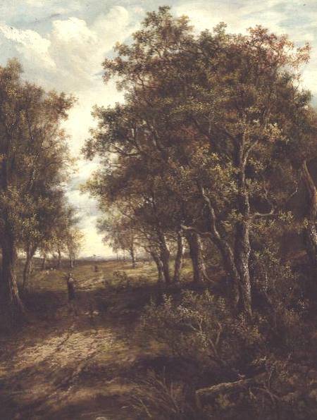 A Clearing in the Woods a Joseph Thors