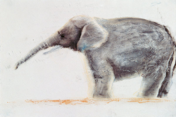 Elefante  a Jung Sook  Nam