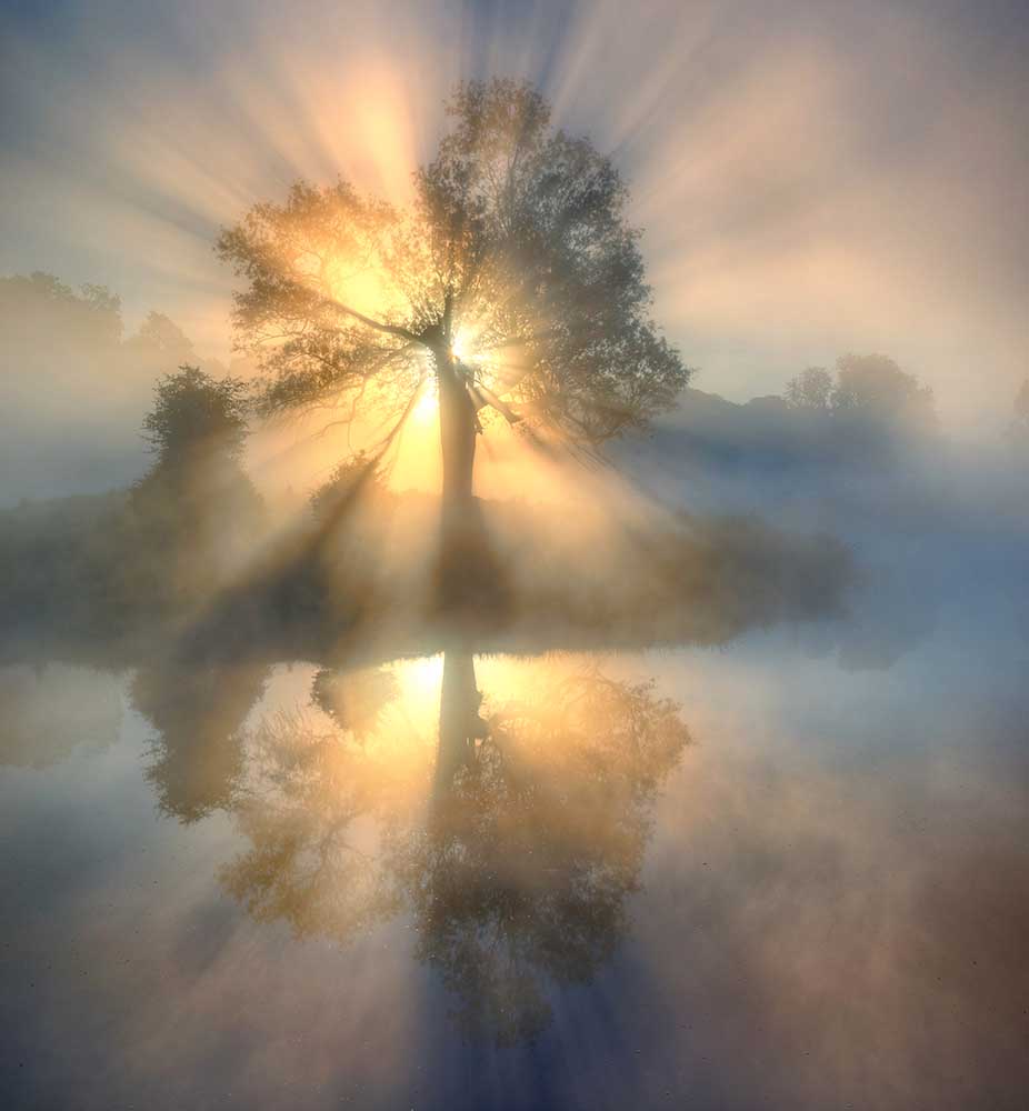 Tree of light a Keller