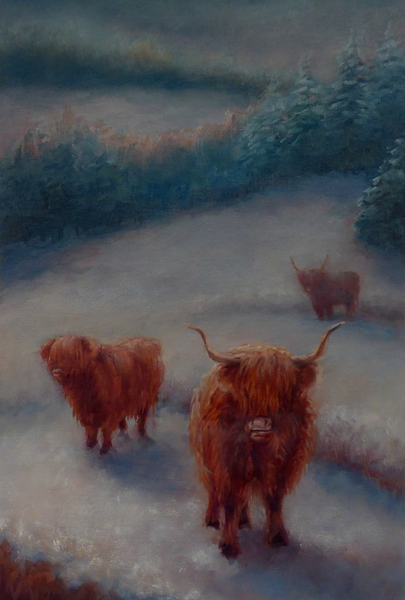 Highland Cattle a Lee Campbell