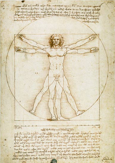 Uomo vitruviano  a Leonardo da Vinci