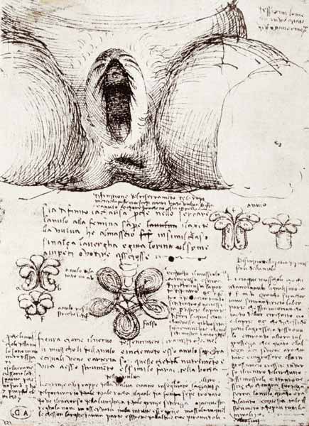 The Female Sexual Organs, facsimile copy  & a Leonardo da Vinci