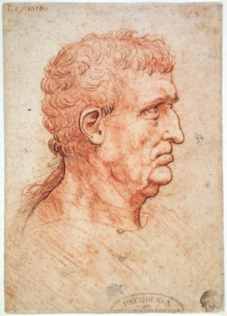 Head of a Man in Profile a Leonardo da Vinci