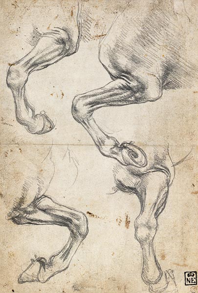 Studies of Horse's Leg a Leonardo da Vinci