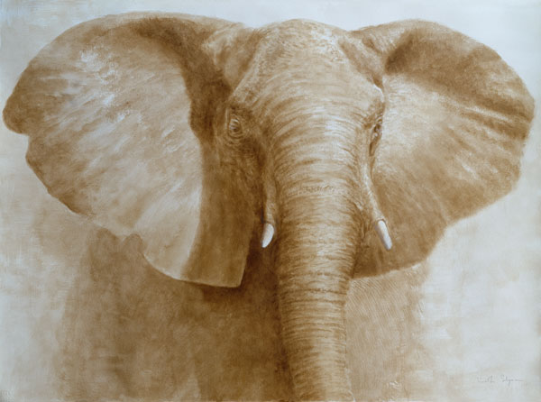Elephant, 2004 (acrylic on paper)  a Lincoln  Seligman