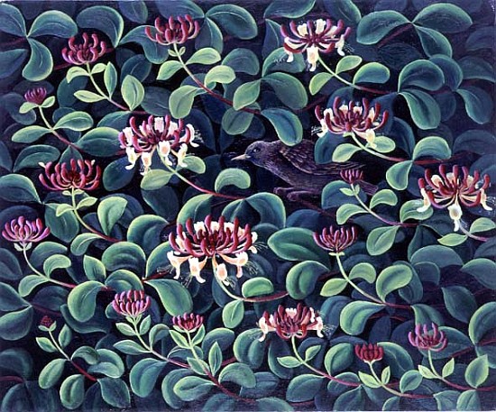 Honeysuckle and Starling, 1995  a Liz  Wright