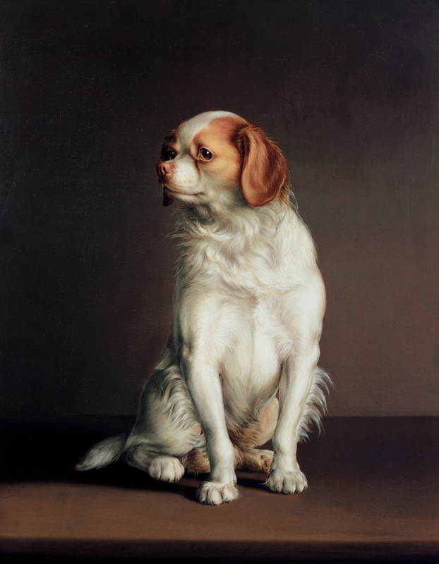 Portrait of a King Charles Spaniel a Louis-Léopold Boilly
