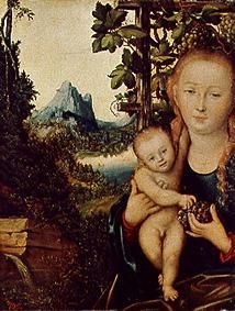Maria with the child. a Lucas Cranach il Vecchio