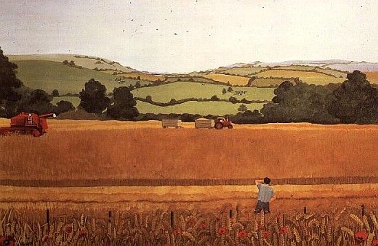 Harvesting in the Cotswolds  a  Maggie  Rowe
