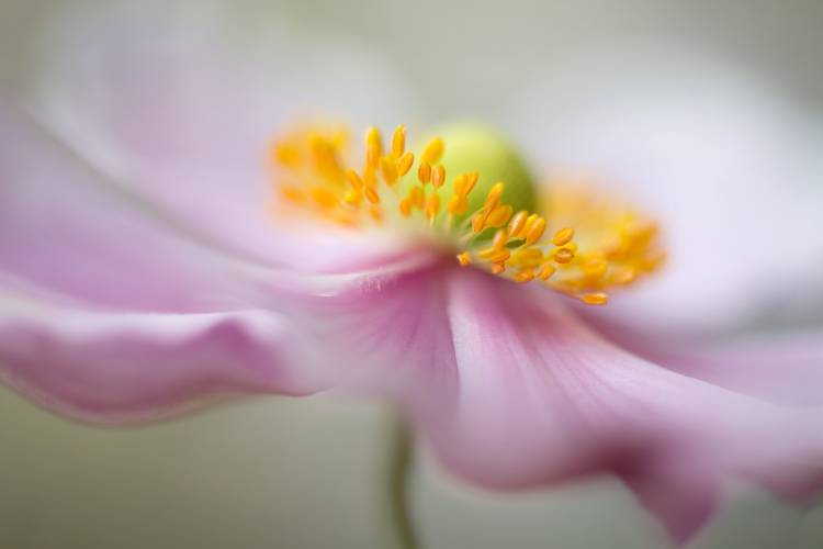 Untitled a Mandy Disher