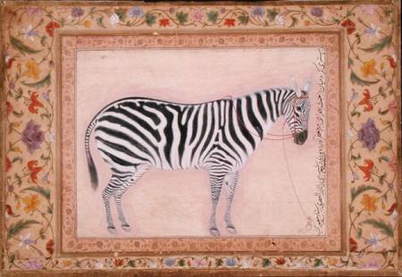 Zebra, from the 'Minto Album' a Mansur