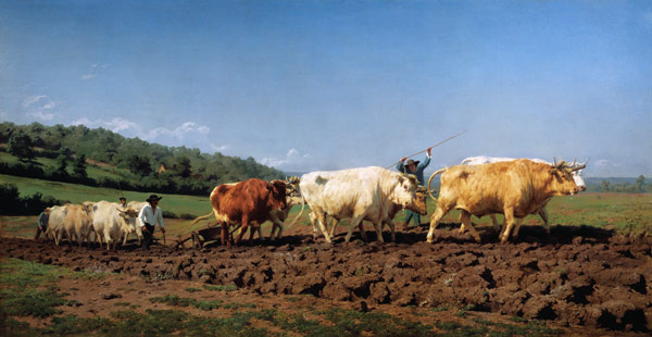Ploughing with oxen in the Nivernais. a Maria-Rosa Bonheur