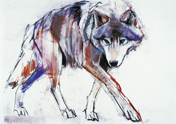 Wolf a Mark  Adlington