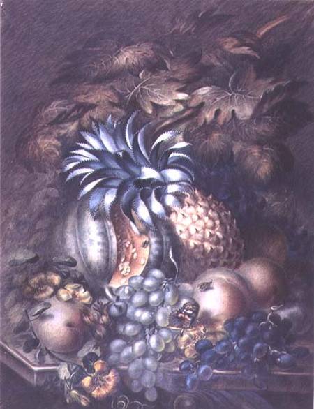 Study of Fruit a Mary Bradley