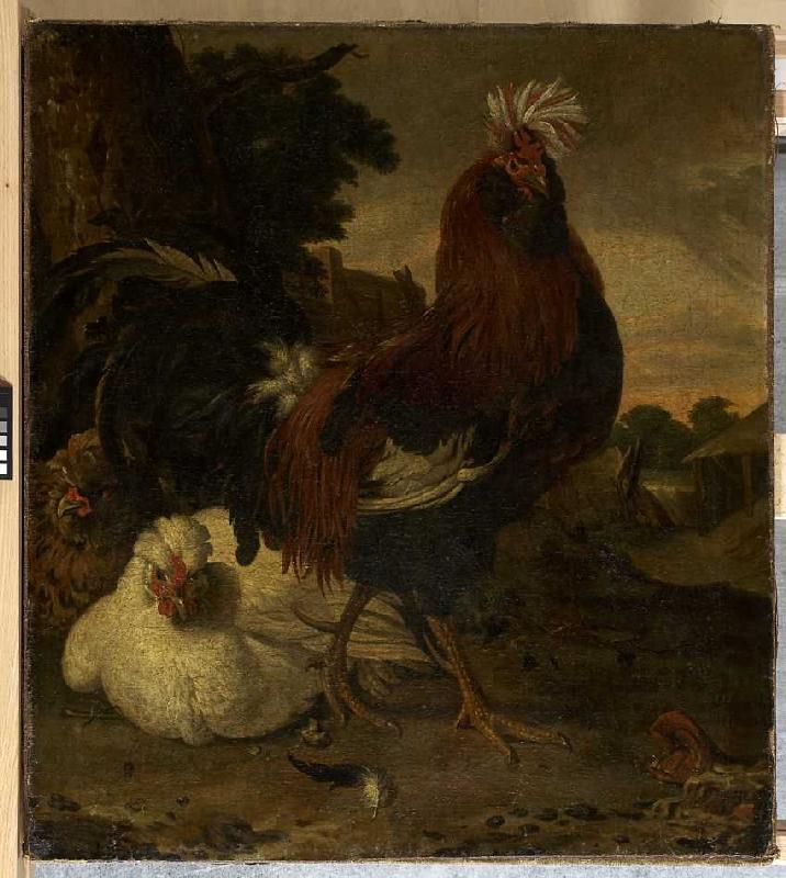 Hahn und zwei Hennen. a Melchior de Hondecoeter