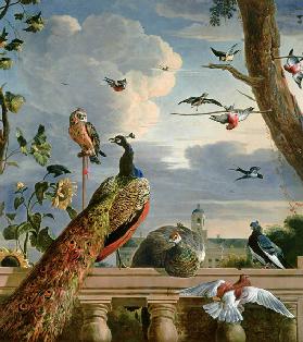 Palazzo ad Amsterdam con uccelli esotici
