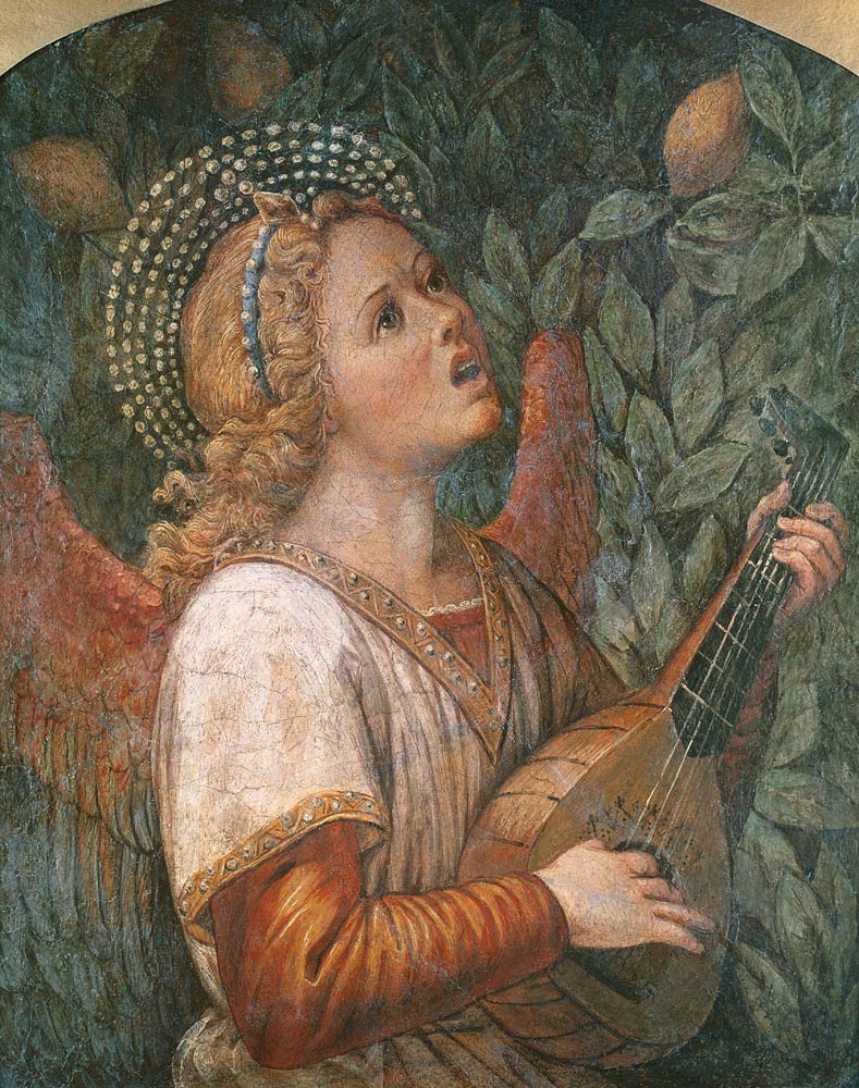 Angel Musician a Melozzo da Forli