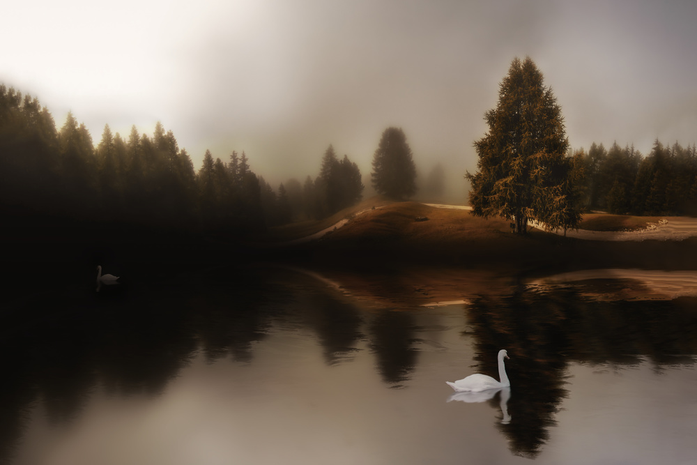 Swan Lake a Michael