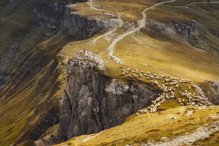 Alpine Pastures a Mihai Ian nedelcu