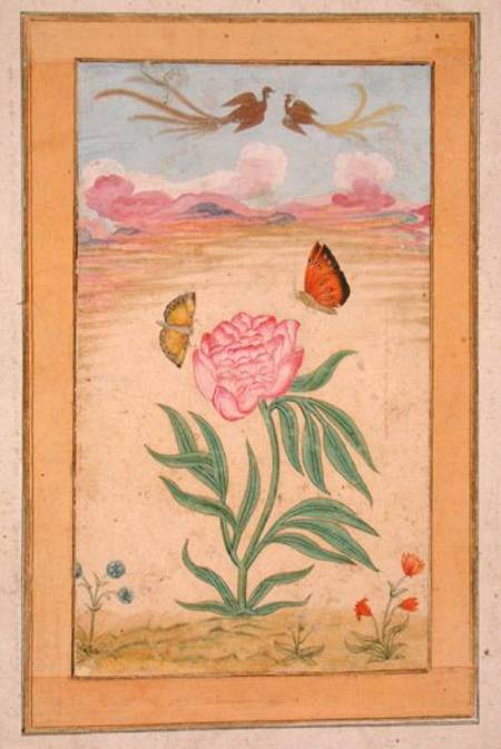 Flowering plants with birds of paradise and butterflies, from the Small Clive Album a Mughal School