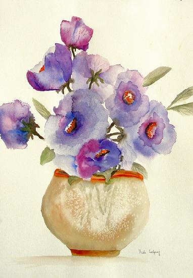 Anemoni viola in vaso