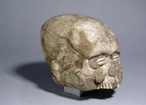 Portrait skull with cowrie shell eyes, Jericho, c.7th millennium BC (skull, plaster and shell) (side a 
