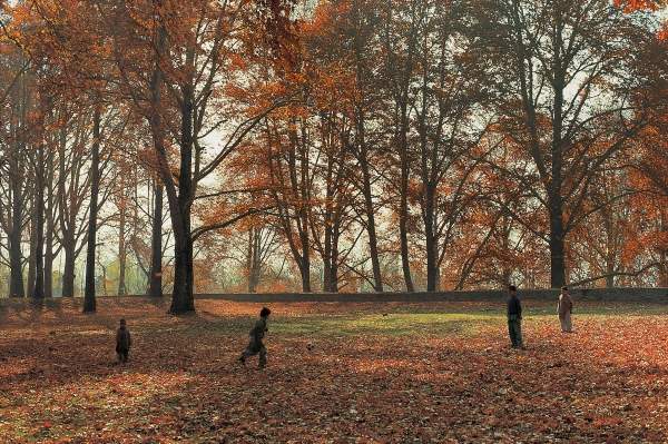 Children playing under huge Chenar trees in autumn, Nishat Bagh, Srinagar (photo)  a 