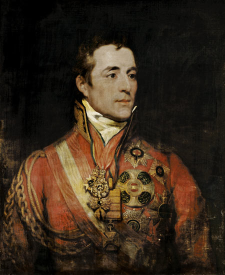 The Duke Of Wellington (1769-1852) a 