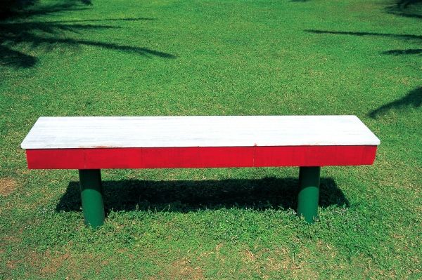 Empty wooden bench in garden (photo)  a 