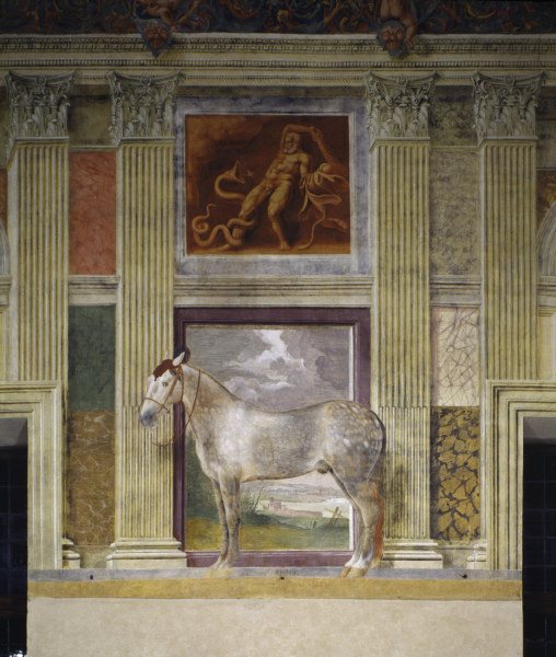 Giulio Romano, Pferd der Gonzaga a 