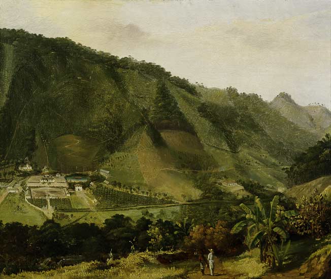 Martinique, landscape / Painting C19th a 